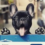 andrew mathias ovando mendez - Instagram Profile Picture of andrew mathias ovando mendez (@mathi_o12) on Instagram