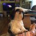Profile Picture of Sandra Guy (@sandra.guy.148) on Facebook