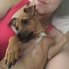 Profile Picture of Francesca Chadwick (@@themrschad) on Tiktok