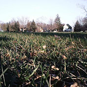 Profile Picture of Tony Mazzarella (@tmazz15) on Youtube