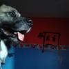 Profile Picture of Jeremy Dubord (@@jeremydubord) on Tiktok