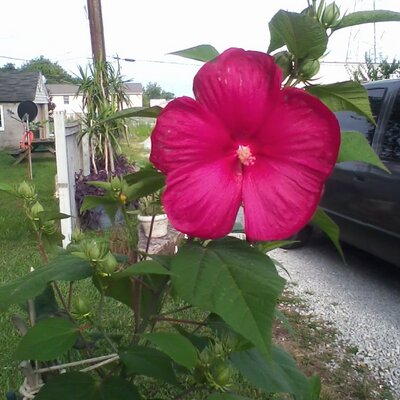 Profile Picture of Paula Crabtree (@ivy_47501) on Twitter