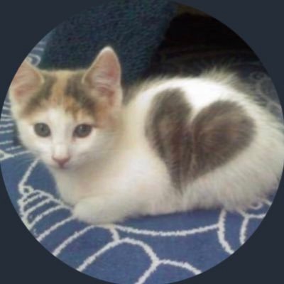 Profile Picture of Gab☽♡❁ (@G_Sweezy27) on Twitter