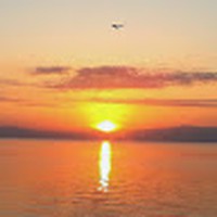 Profile Picture of David Farfan (@david-farfan-8) on Quora