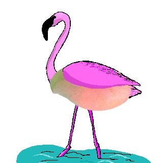 Profile Picture of Dave Chamberlin-Kidd (@DaveCKidd) on Twitter