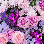 Profile Picture of Sharee Thompson (@inksta097) on Instagram