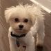 Profile Picture of Mark Vito (@mark.vito.5) on Facebook
