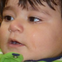 Profile Picture of ع Adel س Sueifan (@ع-adel-س-sueifan) on Quora