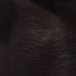 Profile Picture of bradjamieson (@bradjamieson) on Instagram