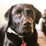 Profile Picture of Obie Scott (@obermeyer.scott) on Instagram