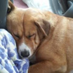 Profile Picture of Jeff Helgeson (@jeff_helgeson) on Twitter