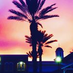 Profile Picture of Michael Shute (@mshooter9) on Instagram