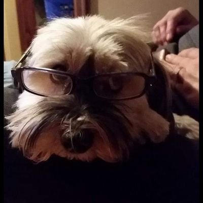 Profile Picture of Mike Micka (@mikemicka3) on Twitter