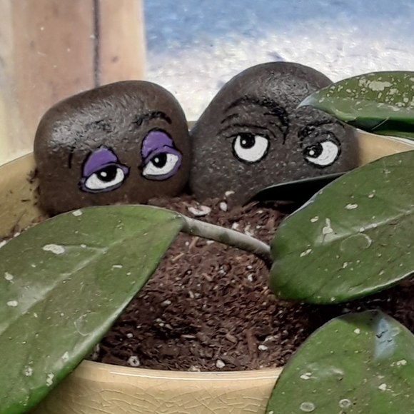 Profile Picture of Debra Hayes (@debrahayes697) on Poshmark