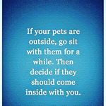 Profile Picture of Tammy Dressler (@tammydressler) on Instagram