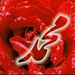 Profile Picture of zahra.aslami (@zahra.aslami2025) on Instagram