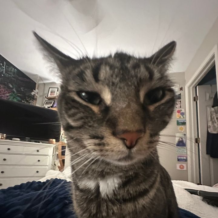 Profile Picture of julia obrien (@juliobrien) on Tiktok