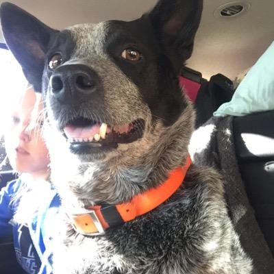 Profile Picture of Buster (@BusterGrant11) on Twitter