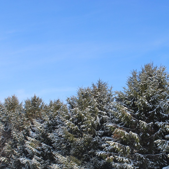 Profile Picture of Addie Riner (@addie_riner) on Poshmark