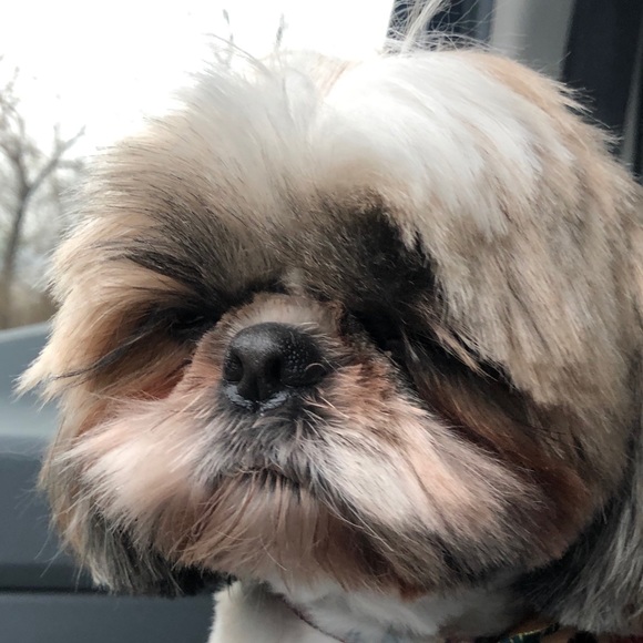 Profile Picture of Marcin Birko (@mbirko81) on Poshmark