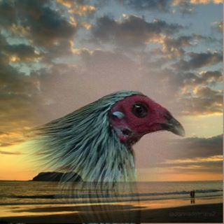 Profile Picture of Alberto F. Gaufo Jr. (prettyboy gameyard ) (@Alberto-F-Gaufo-Jr) on Facebook