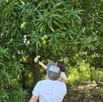 Profile Picture of Joseph Aparicio (@joseph.aparicio.678231) on Facebook