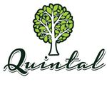 Profile Picture of Quintal Mariana 🌳 (@quintal_mariana) on Instagram