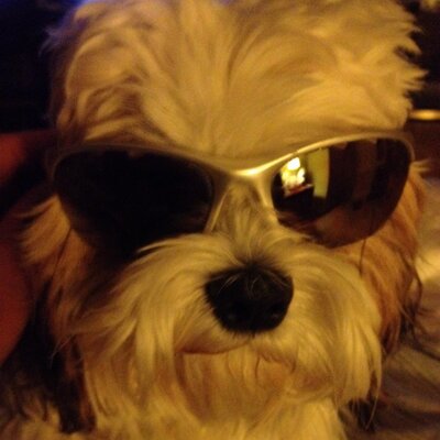 Profile Picture of Scott Beckwith (@beckwith_scott) on Twitter