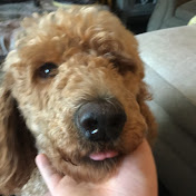 Profile Picture of Marilyn Minerva (@marilynminerva6270) on Youtube