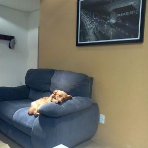 Profile Picture of Paula Valadares (@paulavaladare) on Twitter