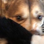 Profile Picture of Joel Toves (@joooeeeell420) on Instagram