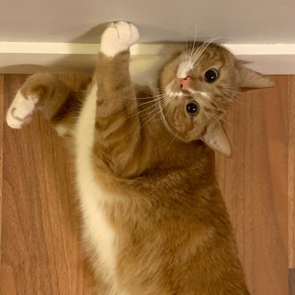 Bobbi Odland - Poshmark Profile Picture of Bobbi Odland (@bobbilynn760) on Poshmark