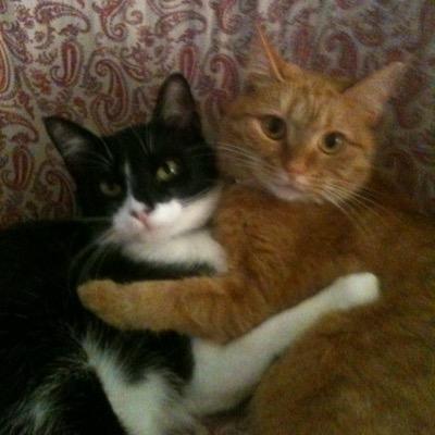 Profile Picture of Deborah Dolfi (@debbiedolfi) on Twitter