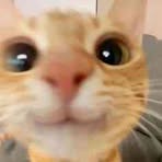 Profile Picture of Jakub Szymczak (@Jakub-Szymczak) on Facebook