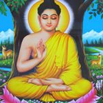 Profile Picture of Neil Sheth (@nsheth782018) on Instagram