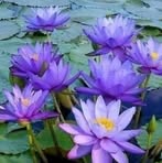 Charles Pfahl - Facebook Profile Picture of Charles Pfahl (@charles.pfahl) on Facebook