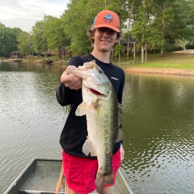 Profile Picture of Robert Koehler (@RobertK98463187) on Twitter