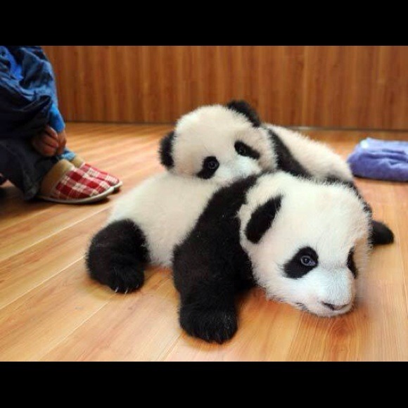 Profile Picture of Cassandra Beltran (@cassyb26) on Poshmark