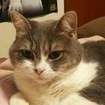 Profile Picture of Takashi Watanabe (@naturalcrystalstardustboys) on Instagram