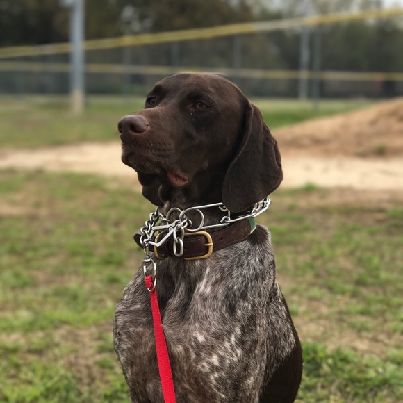 Profile Picture of Barrett Heffington (@cbheffin) on Poshmark