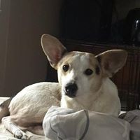 Profile Picture of Jonathan Powers (@jonathan-powers-23) on Quora