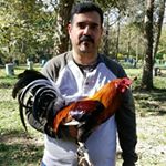 Profile Picture of Rogelio Garcia (@rogelio.garcia.9465) on Instagram