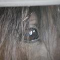 Profile Picture of Tina Arnold-Kramer (@tnkrmr) on Pinterest