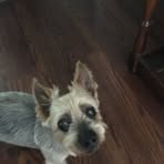 Profile Picture of Debra Cryer (@debra.cryer.2025) on Facebook