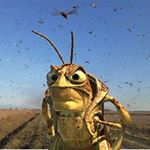 Profile Picture of Sou um animal (@eresumanimalofc) on Instagram