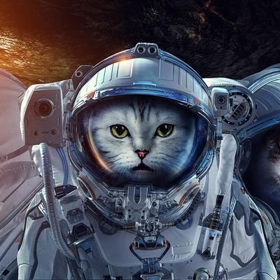 Profile Picture of Nikita Hertrampf (@HertrampfNikita) on Twitter
