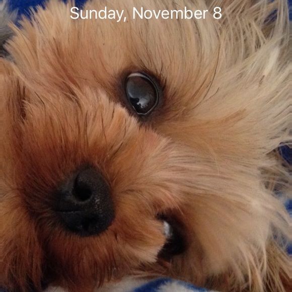 Profile Picture of Arlene Oledan (@suneshay) on Poshmark