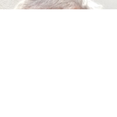 Profile Picture of David Olivier (@D__Olivier) on Twitter