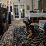 Profile Picture of John Michael Monette Barajas (@johnmichaelmonettebarajas) on Instagram