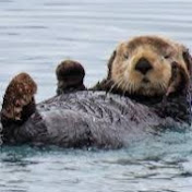 Profile Picture of Lu Ting (@macciato1019) on Youtube